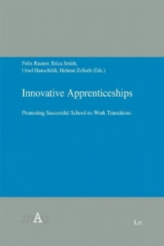 Kniha Innovative Apprenticeships Felix Rauner