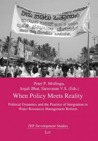 Könyv When Policy Meets Reality Peter P Mollinga