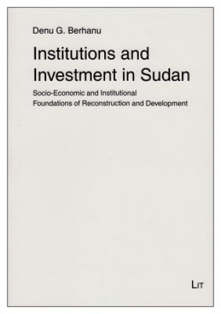 Carte Institutions and Investment in Sudan Denu G Berhanu