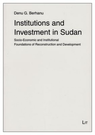 Kniha Institutions and Investment in Sudan Denu G Berhanu