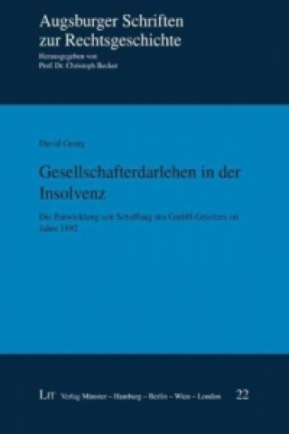 Kniha Gesellschafterdarlehen in der Insolvenz David Georg