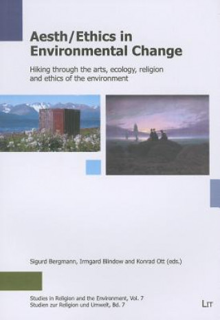 Könyv Aeth/Ethics in Environmental Change Sigurd Bergmann