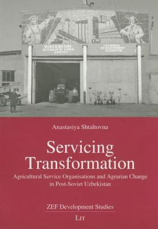 Libro Servicing Transformation Anastasiya Shtaltovna