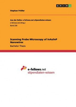 Carte Scanning Probe Microscopy of InAs/InP Nanowires Stephan Pröller