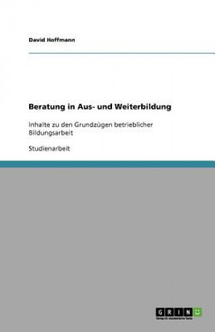Kniha Beratung in Aus- und Weiterbildung David Hoffmann