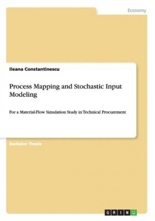 Könyv Process Mapping and Stochastic Input Modeling Ileana Constantinescu