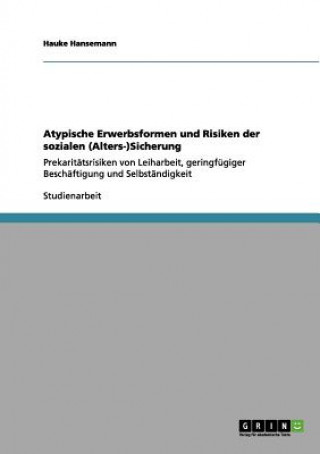 Könyv Atypische Erwerbsformen Und Risiken Der Sozialen (Alters-)Sicherung Hauke Hansemann