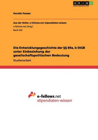 Kniha Entwicklungsgeschichte der  89a, b StGB unter Einbeziehung der gesellschaftspolitischen Bedeutung Kerstin Panzer