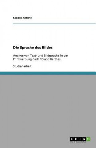 Buch Die Sprache des Bildes Sandro Abbate