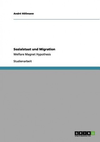 Kniha Sozialstaat und Migration André Höllmann