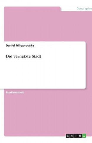 Könyv vernetzte Stadt Daniel Mirgorodsky
