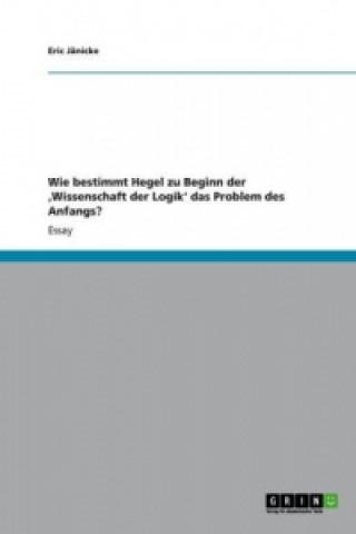Kniha Wie Bestimmt Hegel Zu Beginn Der 'wissenschaft Der Logik' Das Problem Des Anfangs? Eric Jänicke