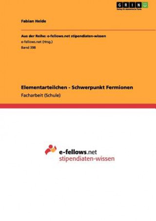 Könyv Elementarteilchen - Schwerpunkt Fermionen Fabian Heide
