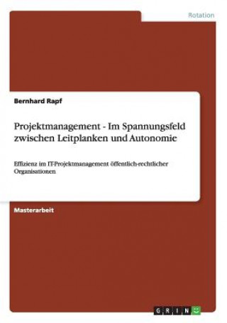 Kniha Projektmanagement - Im Spannungsfeld zwischen Leitplanken und Autonomie Bernhard Rapf