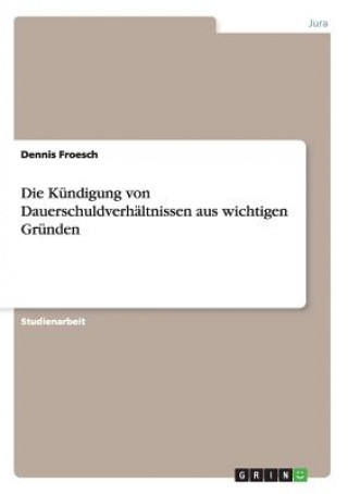 Kniha Kundigung von Dauerschuldverhaltnissen aus wichtigen Grunden Dennis Froesch
