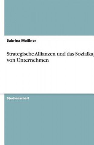 Knjiga Strategische Allianzen und das Sozialkapitel von Unternehmen Sabrina Meißner