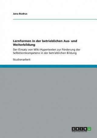 Könyv Lernformen in der betrieblichen Aus- und Weiterbildung Jana Budrus