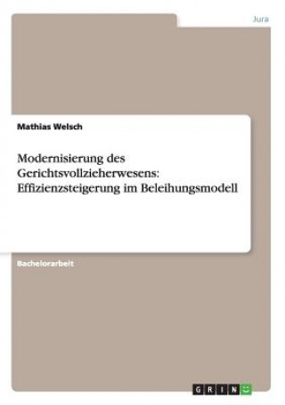 Kniha Modernisierung des Gerichtsvollzieherwesens Mathias Welsch