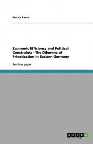 Könyv Economic Efficiency and Political Constraints - The Dilemma of Privatization in Eastern Germany Patrick Avato