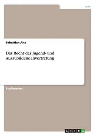 Kniha Recht der Jugend- und Auszubildendenvertretung Sebastian Aha