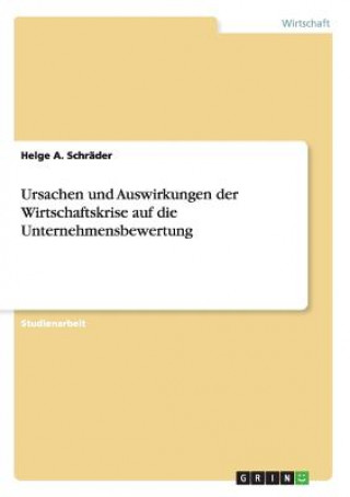 Könyv Ursachen und Auswirkungen der Wirtschaftskrise auf die Unternehmensbewertung Helge A. Schräder
