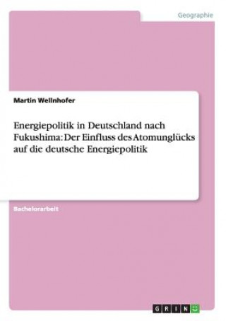 Kniha Energiepolitik in Deutschland nach Fukushima Martin Wellnhofer