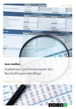 Knjiga Funktionen und Instrumente des Beschaffungscontrollings Jens Janßen