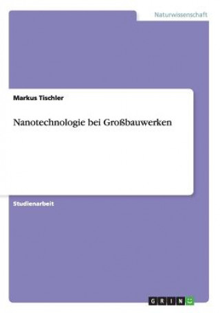 Buch Nanotechnologie bei Grossbauwerken Markus Tischler