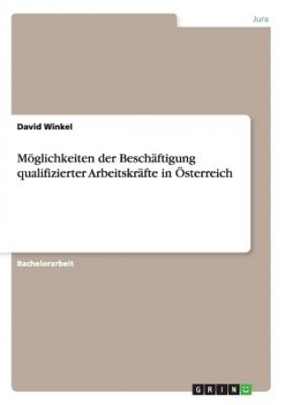 Kniha Moeglichkeiten der Beschaftigung qualifizierter Arbeitskrafte in OEsterreich David Winkel