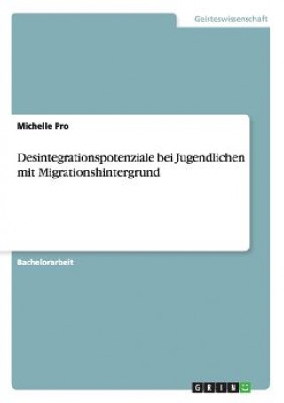 Kniha Desintegrationspotenziale bei Jugendlichen mit Migrationshintergrund Michelle Pro