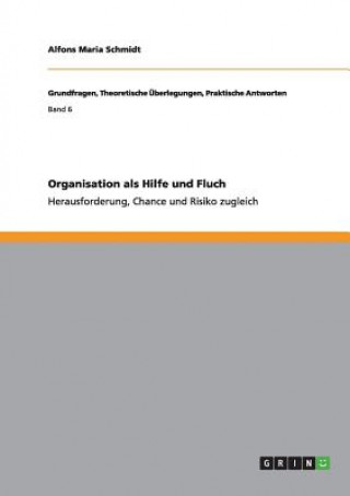Könyv Organisation als Hilfe und Fluch Alfons Maria Schmidt