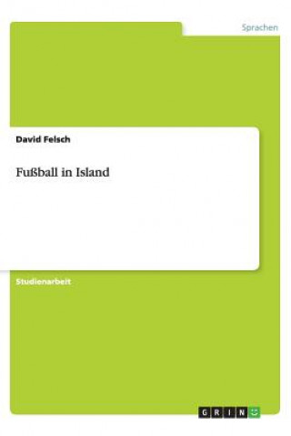 Könyv Fu ball in Island David Felsch