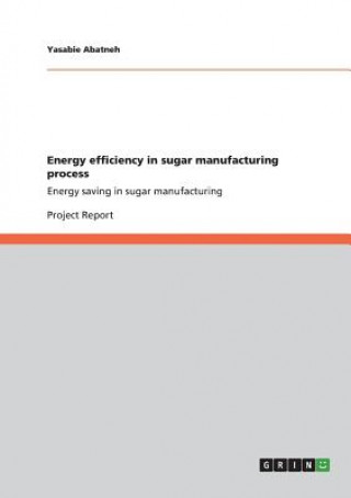 Książka Energy efficiency in sugar manufacturing process Yasabie Abatneh