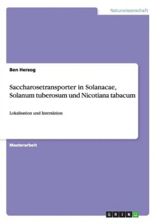 Carte Saccharosetransporter in Solanacae, Solanum tuberosum und Nicotiana tabacum Ben Herzog