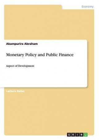 Knjiga Monetary Policy and Public Finance Akampurira Abraham