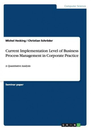 Könyv Current Implementation Level of Business Process Management in Corporate Practice Michel Hecking