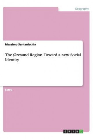 Libro resund Region. Toward a New Social Identity Massimo Santanicchia
