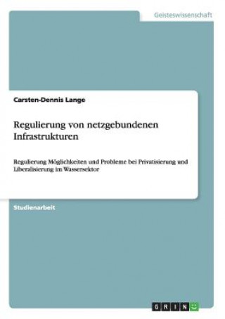 Kniha Regulierung von netzgebundenen Infrastrukturen Carsten-Dennis Lange