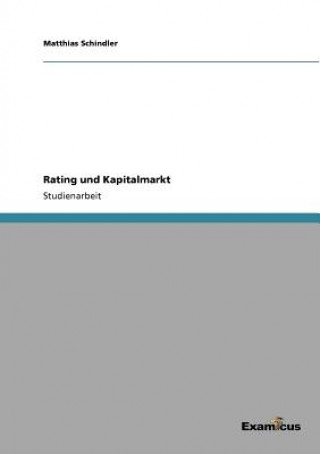 Kniha Rating und Kapitalmarkt Matthias Schindler