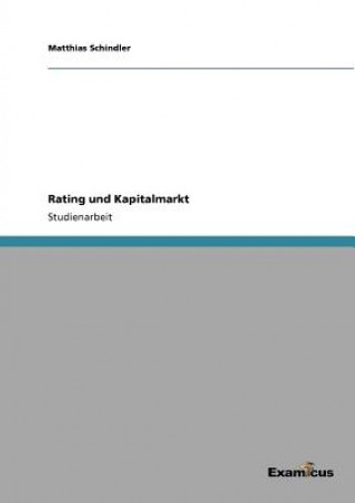 Könyv Rating und Kapitalmarkt Matthias Schindler