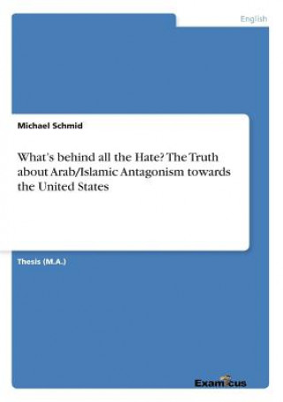 Kniha What's behind all the Hate? The Truth about Arab/Islamic Antagonism towards the United States Michael Schmid