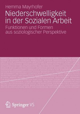 Книга Niederschwelligkeit in Der Sozialen Arbeit Hemma Mayrhofer
