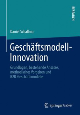 Kniha Geschaftsmodell-Innovation Daniel Schallmo