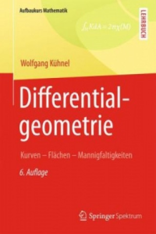 Kniha Differentialgeometrie Wolfgang Kühnel