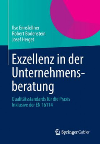 Książka Exzellenz in Der Unternehmensberatung Ilse Ennsfellner