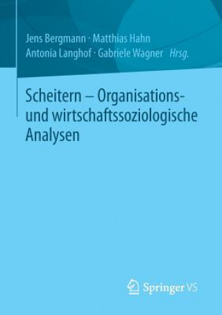 Kniha Scheitern - Organisations- Und Wirtschaftssoziologische Analysen Jens Bergmann
