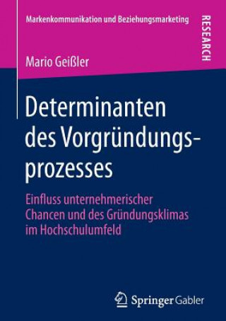 Kniha Determinanten Des Vorgrundungsprozesses Mario Geißler