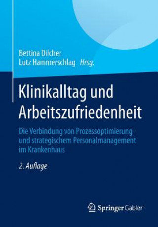 Kniha Klinikalltag Und Arbeitszufriedenheit Bettina Dilcher