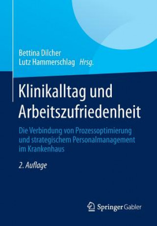 Książka Klinikalltag Und Arbeitszufriedenheit Bettina Dilcher