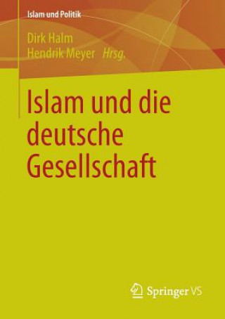 Kniha Islam Und Die Deutsche Gesellschaft Dirk Halm